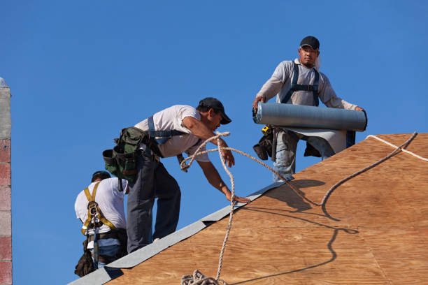 Best Roof Maintenance Services  in West Branch, MI