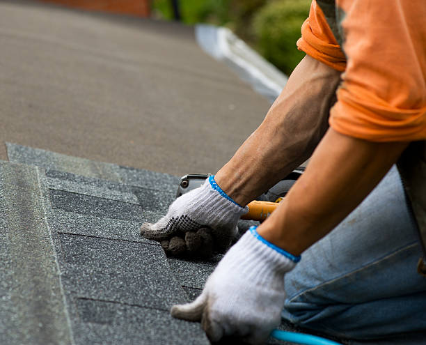 Best Residential Roofing Contractor  in West Branch, MI