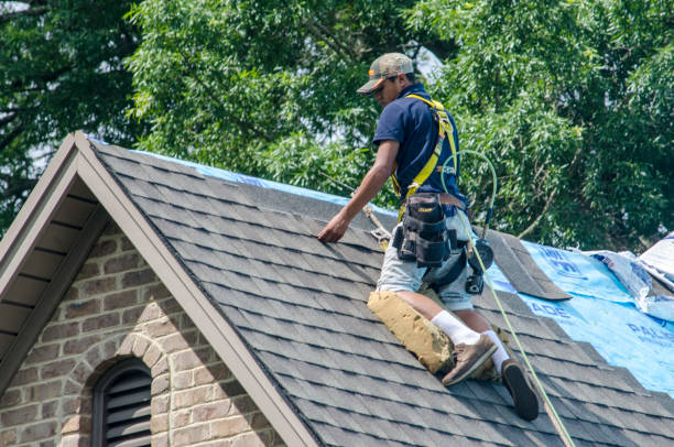 Best Roof Leak Repair  in West Branch, MI